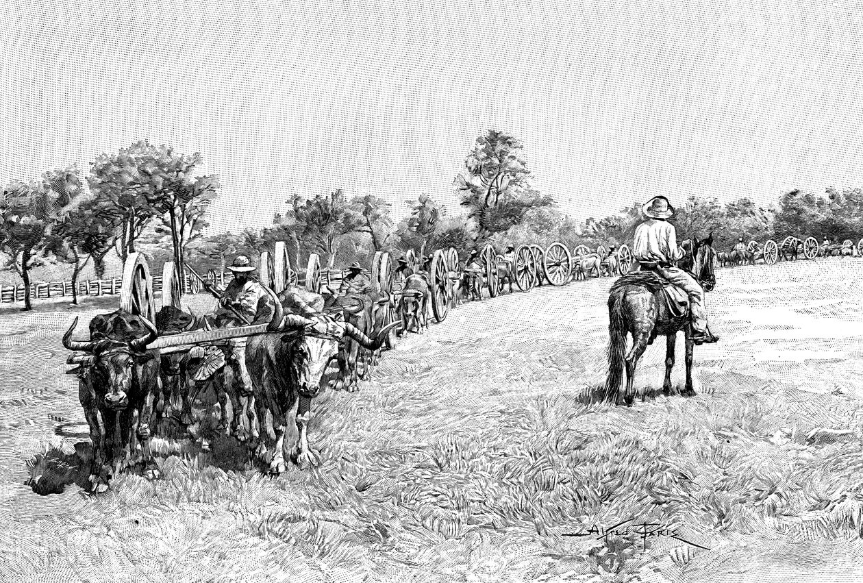 En konvoj af vogne, Sydamerika, 1895 af Unbekannt