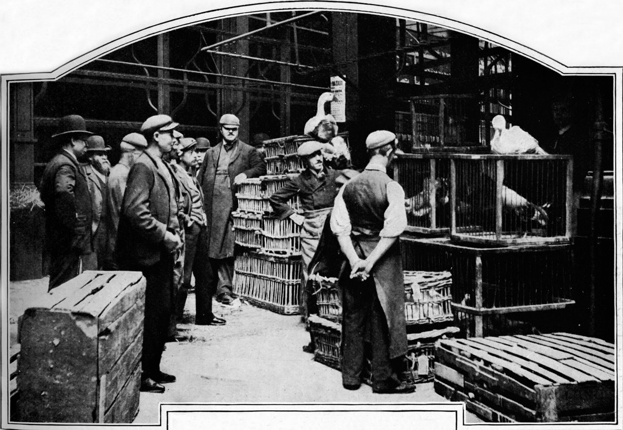 Et hjørne af Leadenhall Market, London, c1901 1901 af Unbekannt