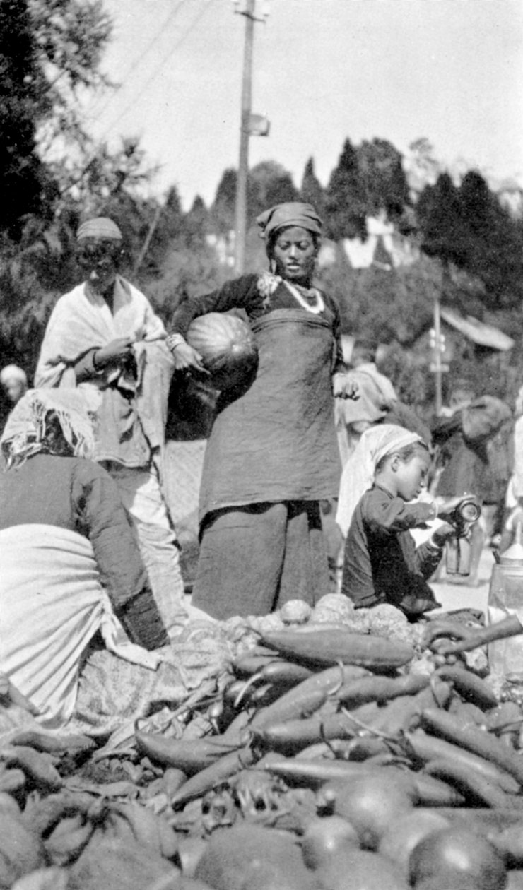 Et madmarked i Darjeeling, Vestbengalen, Indien, c1910 af Unbekannt