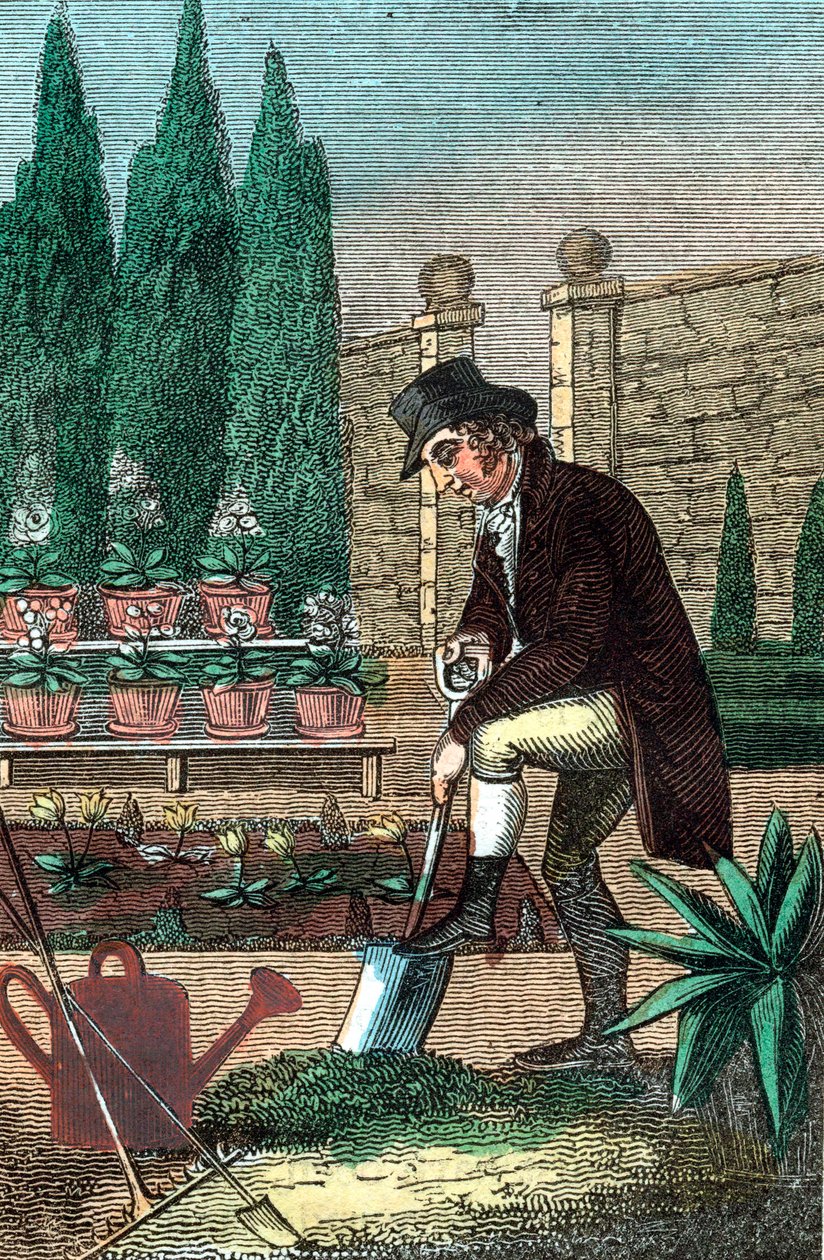 En gartner graver med en spade, 1821 af Unbekannt