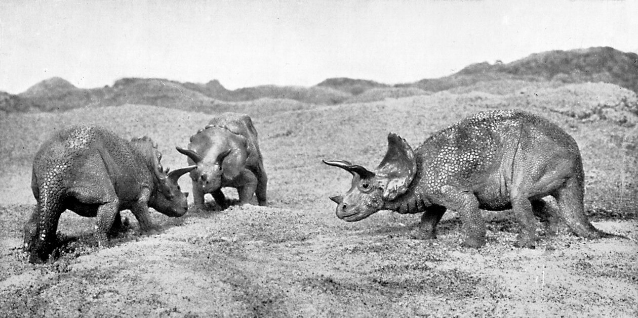 En gruppe af triceratops, 20. århundrede af Unbekannt