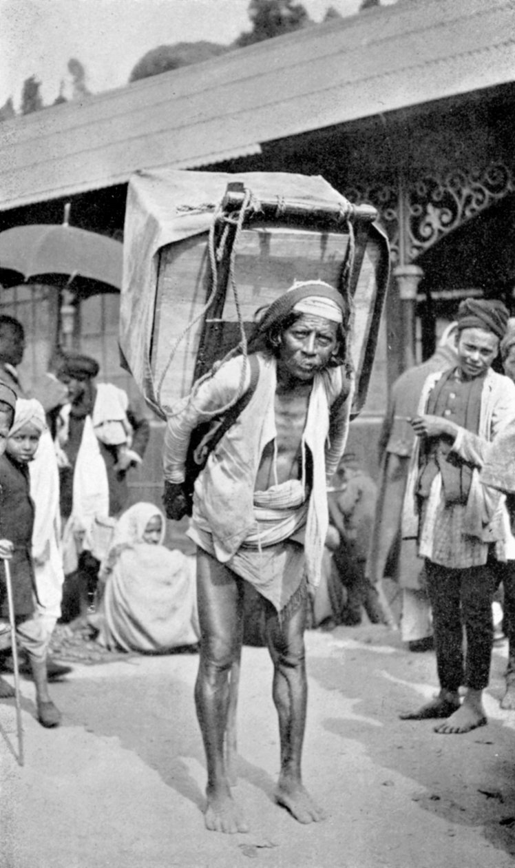 En arbejder, der bærer te, Darjeeling, Vestbengalen, Indien, c1910 af Unbekannt