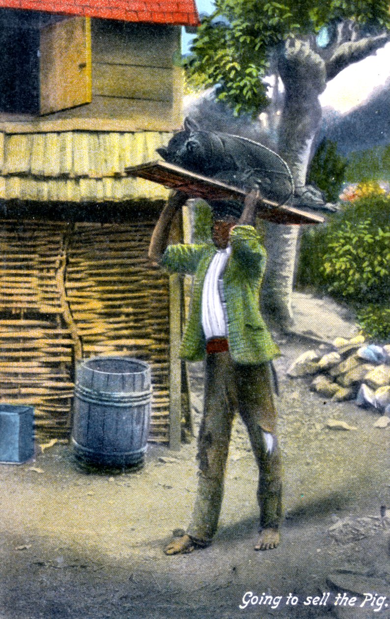 En mand på vej til markedet for at sælge en gris, Jamaica, omkring 1900-tallet af Unbekannt