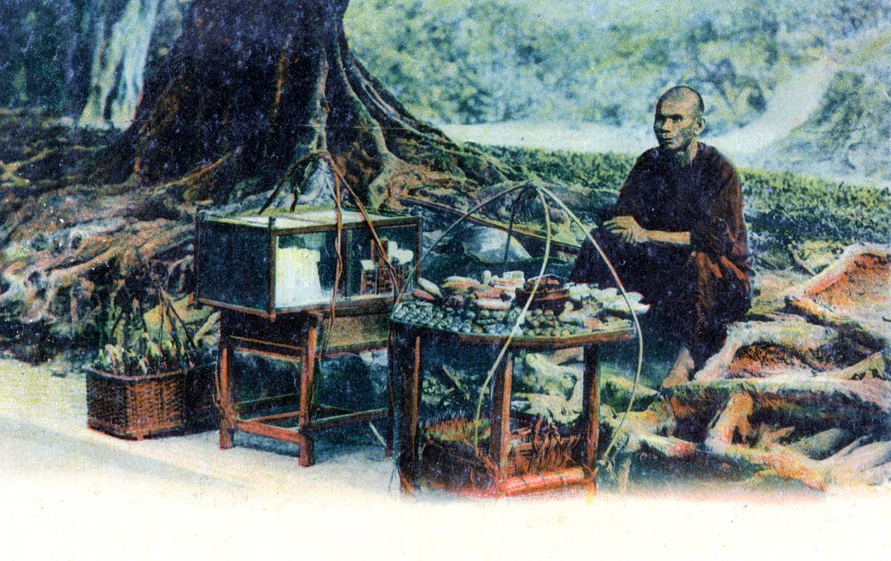 En mand, der sælger frugt under et træ, Hong Kong, Kina, omkring 1900-tallet af Unbekannt