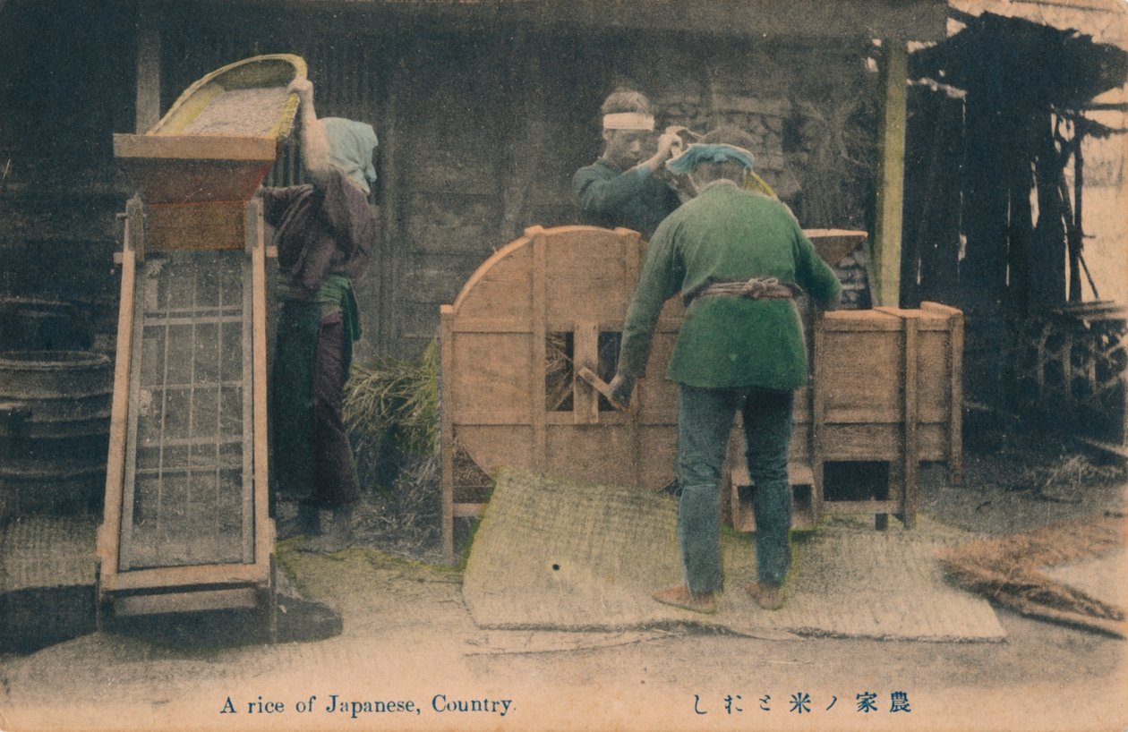 En ris af japansk, land, c1910. af Unbekannt