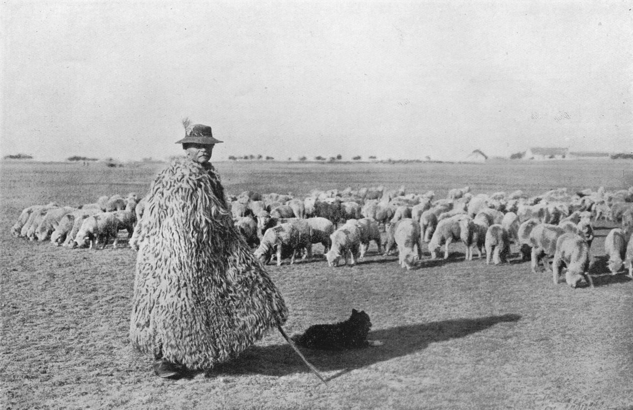 En typisk hyrde og hans flok på Ungarns sletter, 1915 af Unbekannt