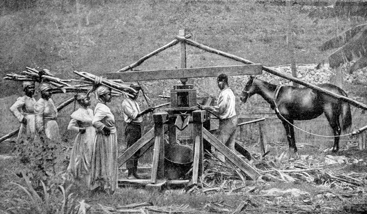 Et hestedrevet træknuserværk af sukkerrør, Vestindien, 1922 af Unbekannt