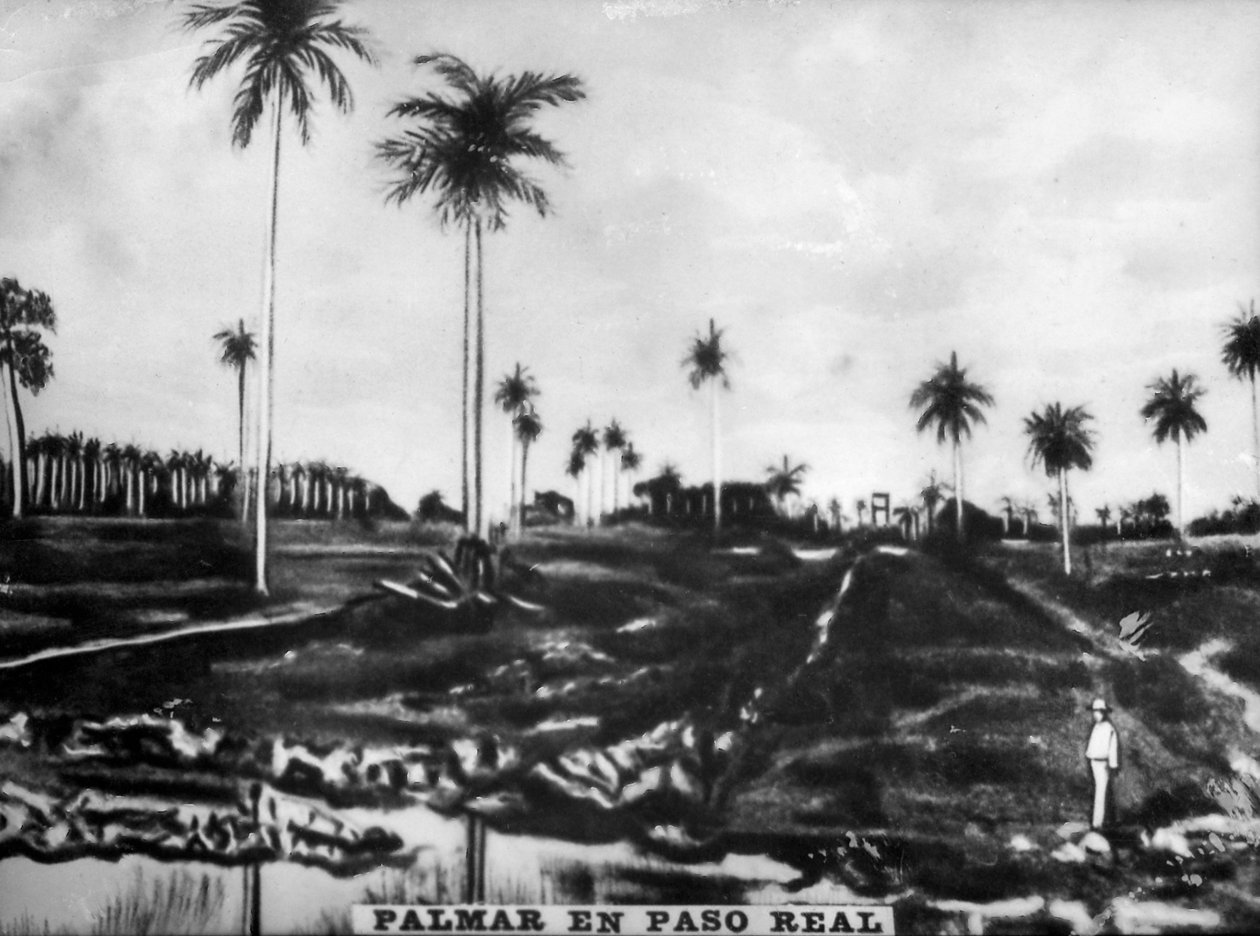 Accion of PasoReal, 1896, 1920