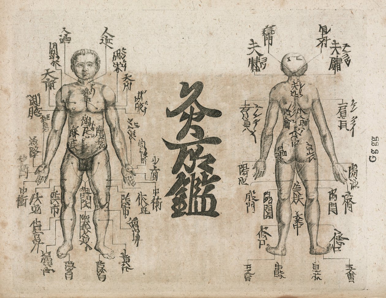 Akupunkturkort over menneskekroppen, der viser moxibustionspunkter (Moxabustion-diagram, der viser, hvor aber bør undgås af Unbekannt