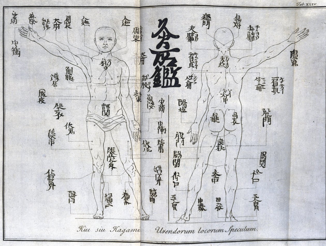 Akupunktur: kort over den menneskelige krop, der angiver moxibustionspunkter, Japan (diagram relateret til moxa, c 1690) af Unbekannt
