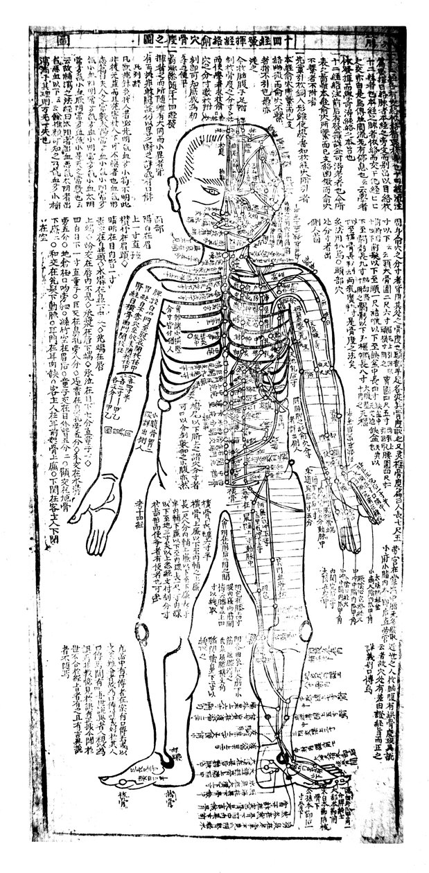 Akupunkturskema til forsiden af kroppen, japansk, 1800-tallet af Unbekannt