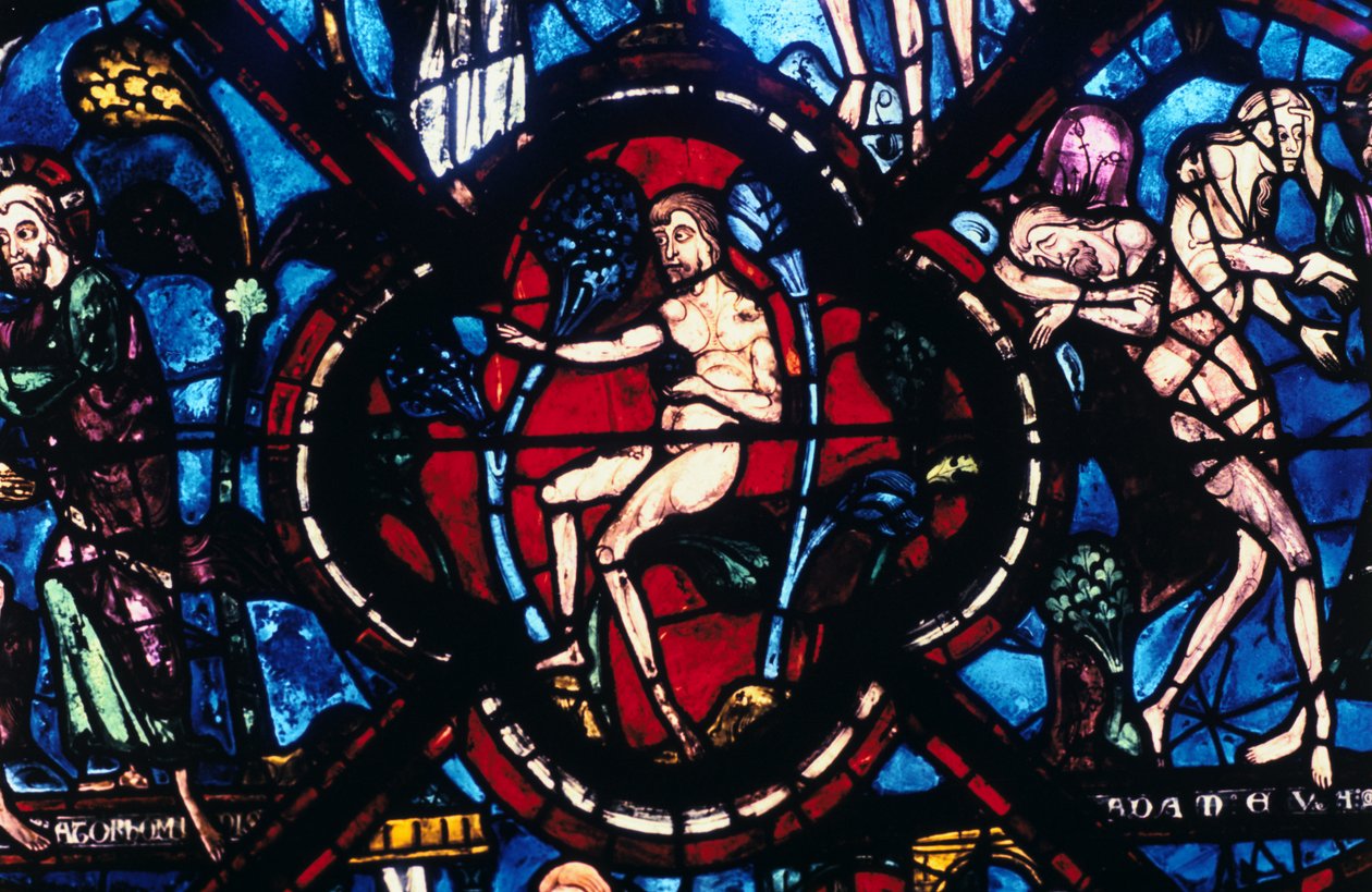 Adam i Eden, farvet glas, Chartres Cathedral, Frankrig, 1205-1215 af Unbekannt