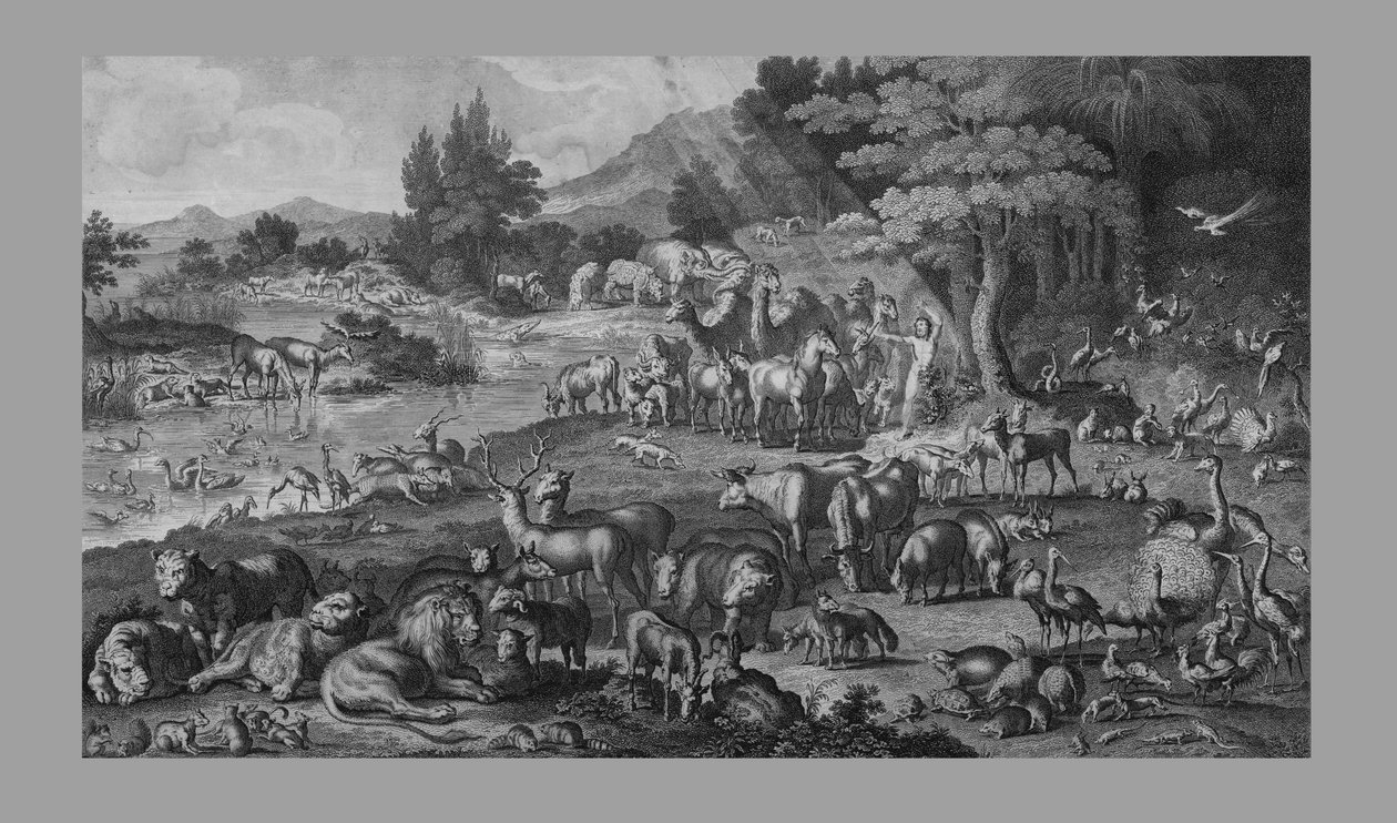 Adam navngiver skabelsen, 1818. af Unbekannt