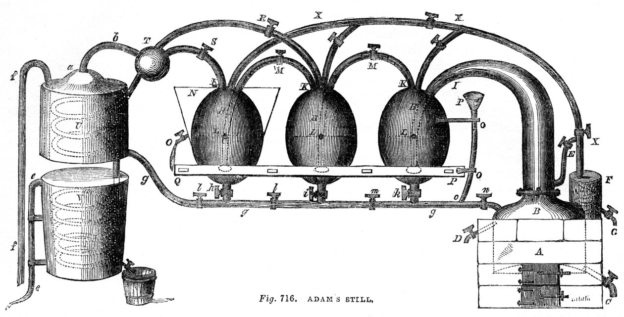 Adams still, 1886 af Unbekannt