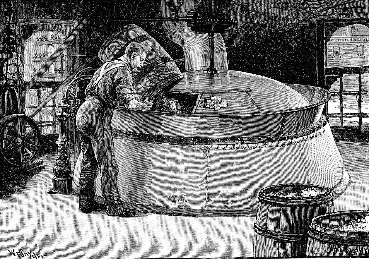 Tilsætning af humle til kogende øl i et amerikansk bryggeri, 1885 af Unbekannt