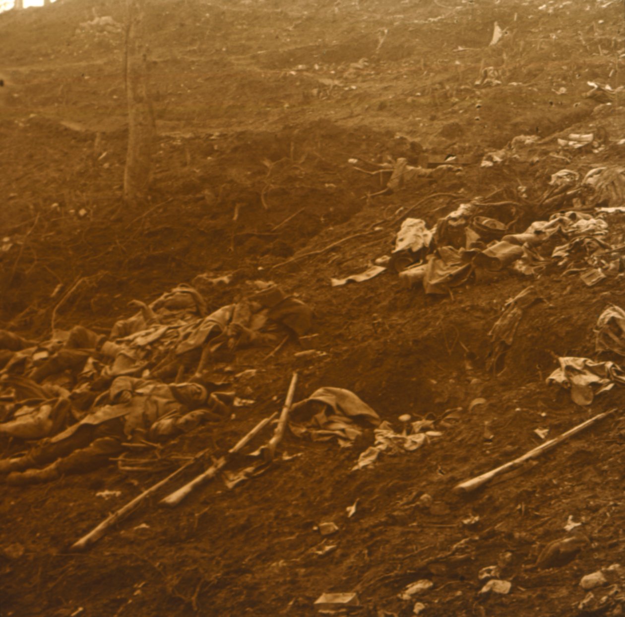 Efter angrebet, Les Éparges, Nordfrankrig, 1915. af Unbekannt