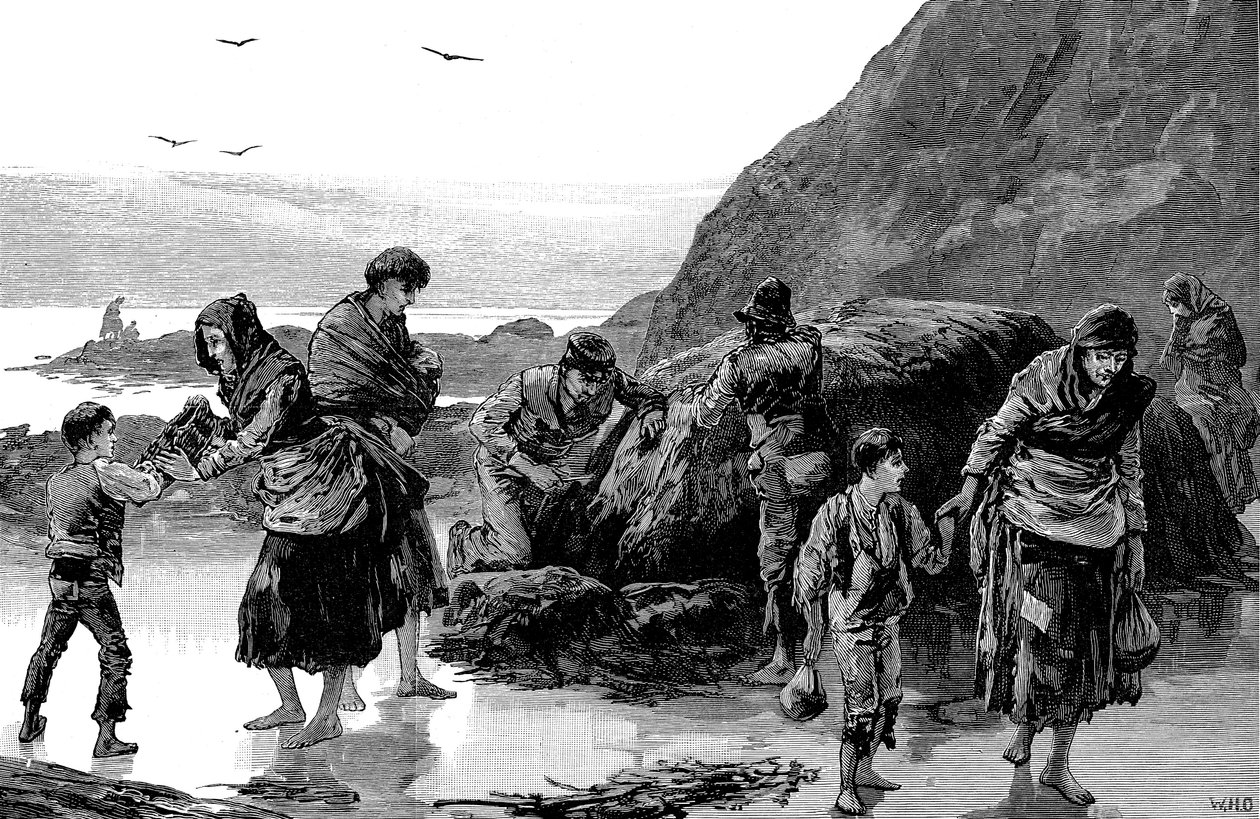 Efterdønninger af hungersnød, Irland 1840