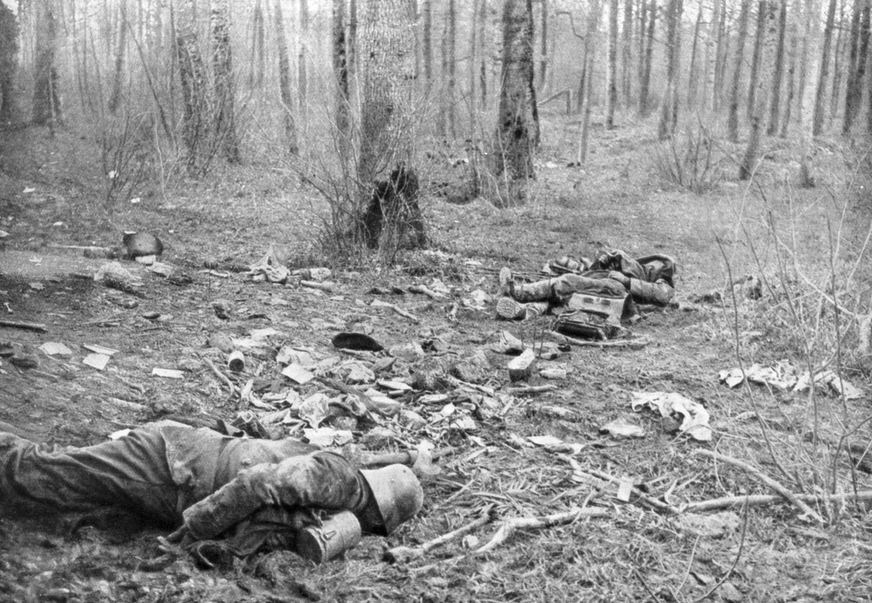 Efterdønningerne af kampene i parken Plessis-de-Roye, Picardie, Frankrig, 30. marts 1918 af Unbekannt
