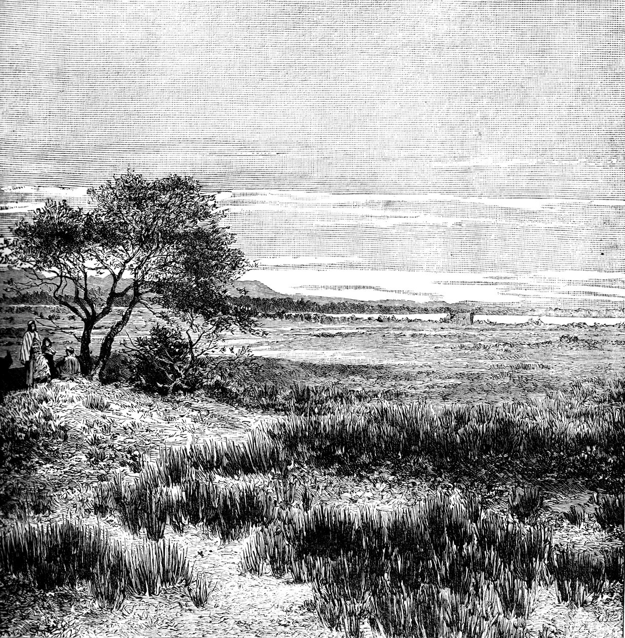 Agha Valley, Central Pampa, Argentina, 1895 af Unbekannt