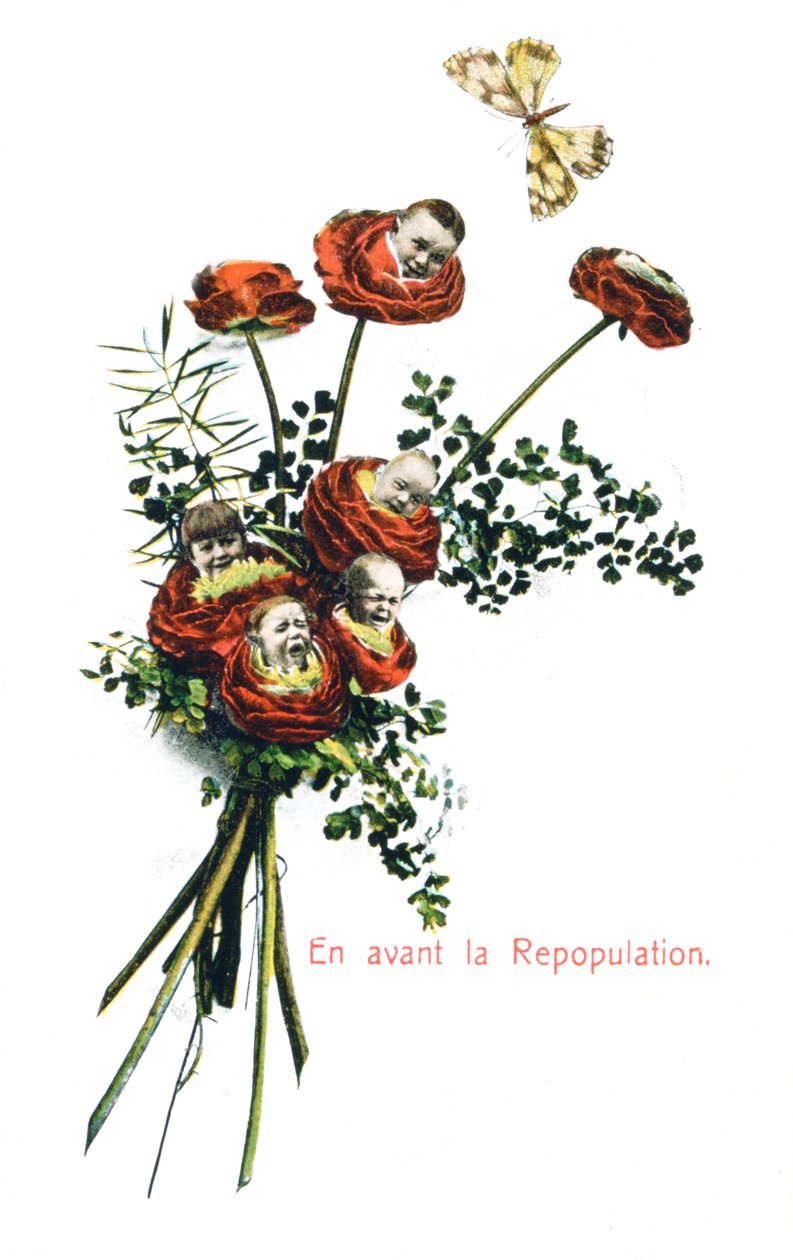 Ahead Repopulation, fransk postkort, c1900 af Unbekannt