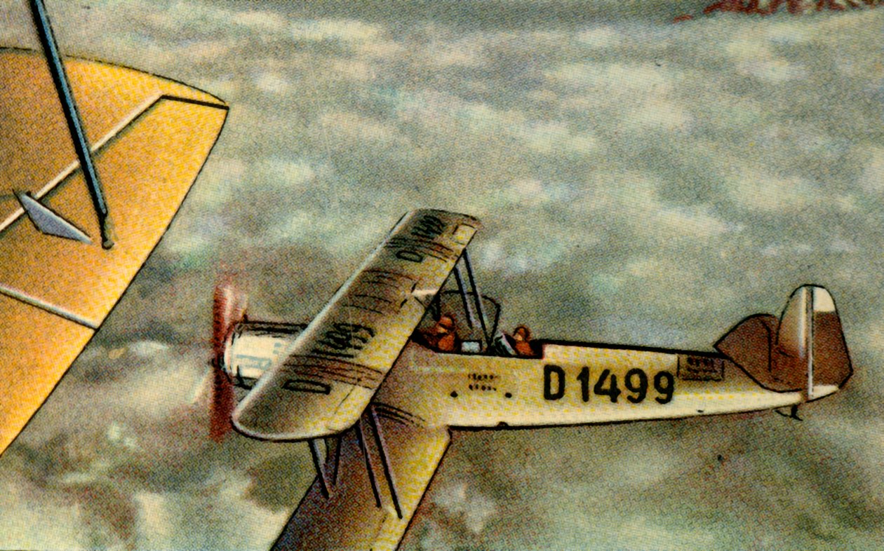 Albatros L 75 Ass-fly, 1920