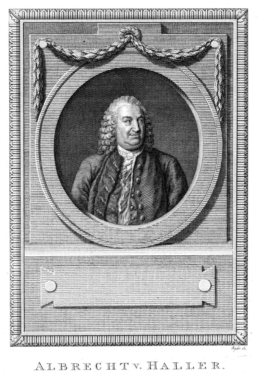 Albrecht von Haller, schweizisk læge og videnskabsmand, c1770 c1780 af Unbekannt