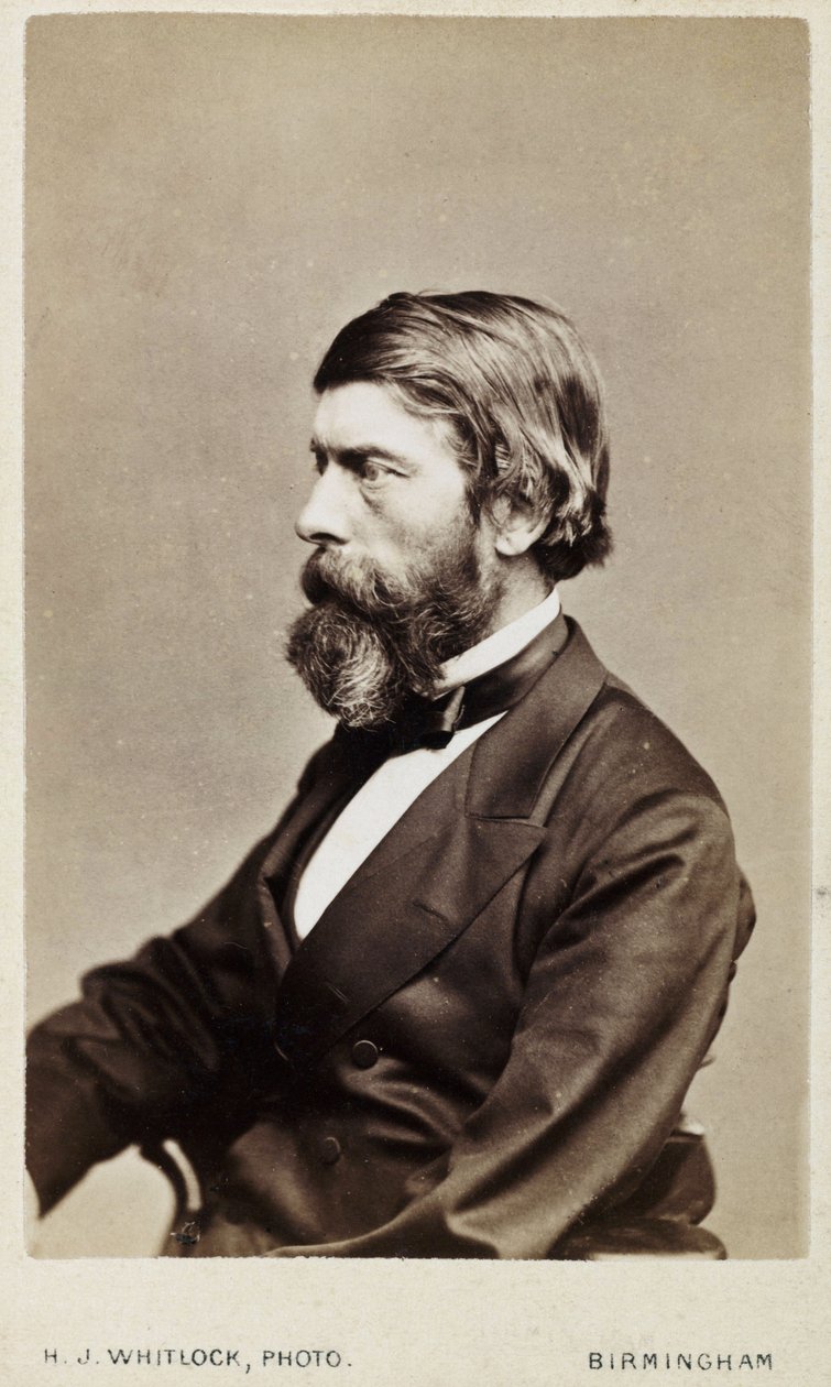 Alexander William Williamson, skotsk kemiker, c 1865 af Unbekannt