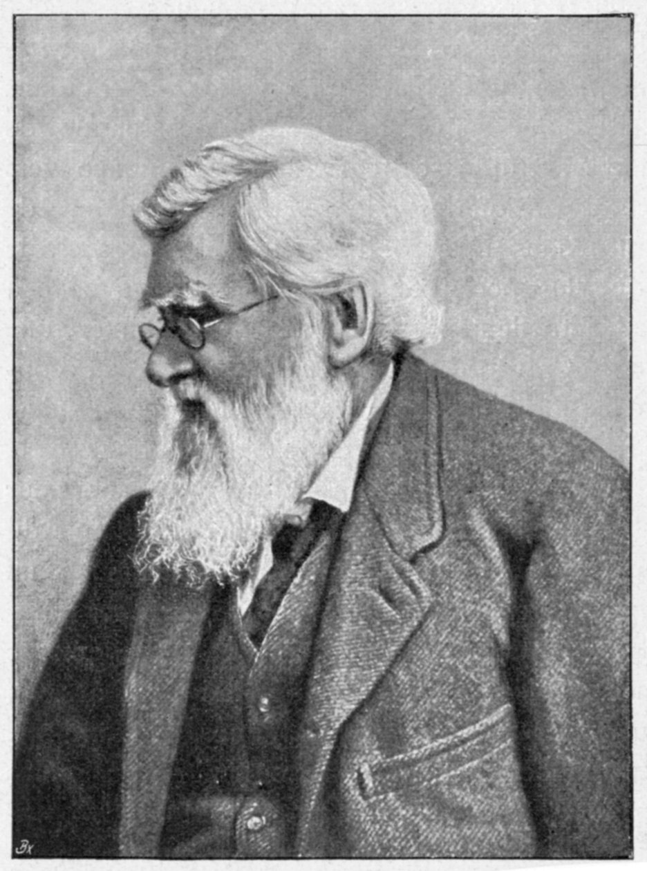 Alfred Russell Wallace, walisisk naturforsker, c1895 af Unbekannt