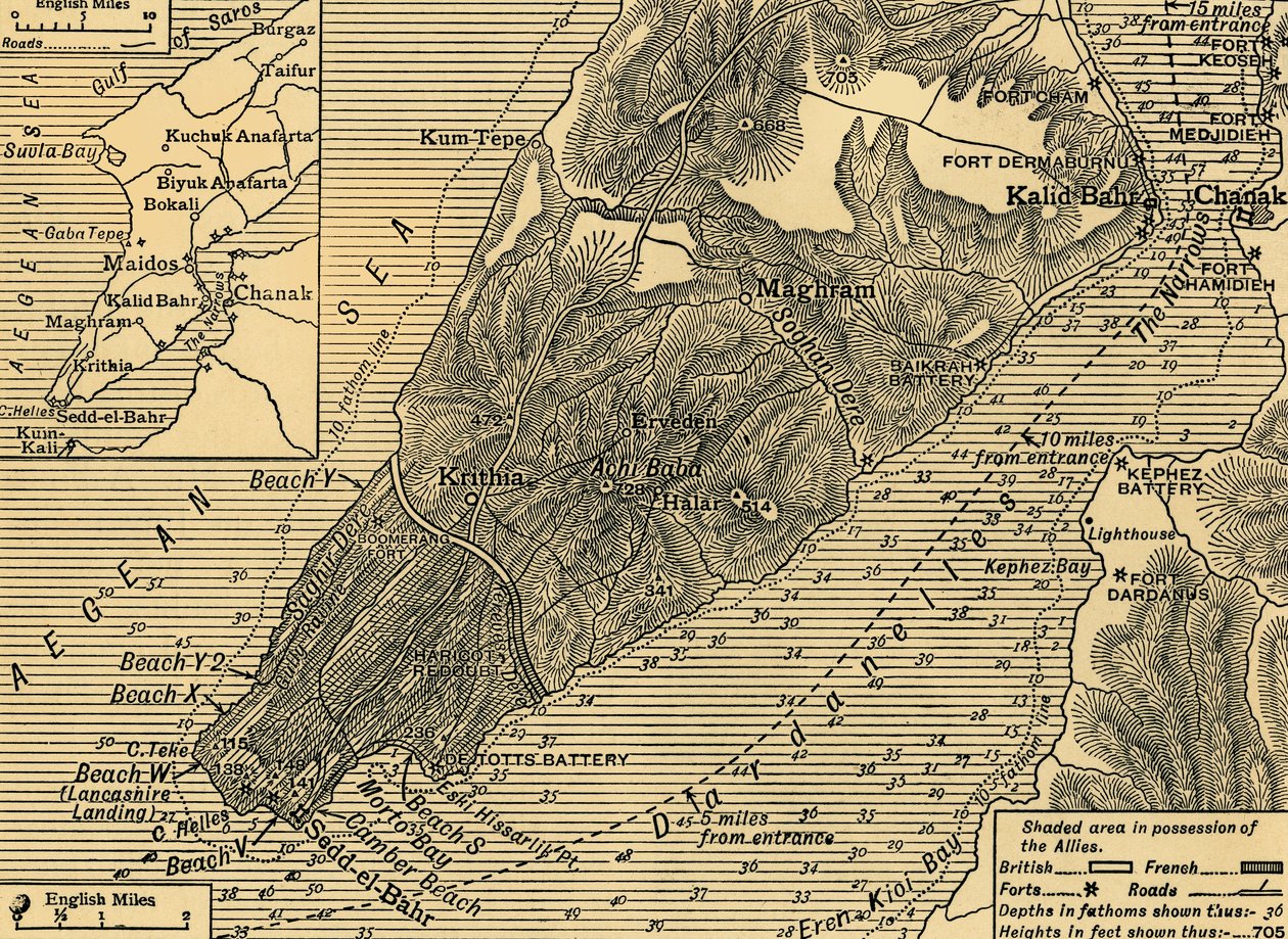 Allierede stillinger på Gallipoli-halvøen i Tyrkiet, Første Verdenskrig, juli 1915, c1920. af Unbekannt