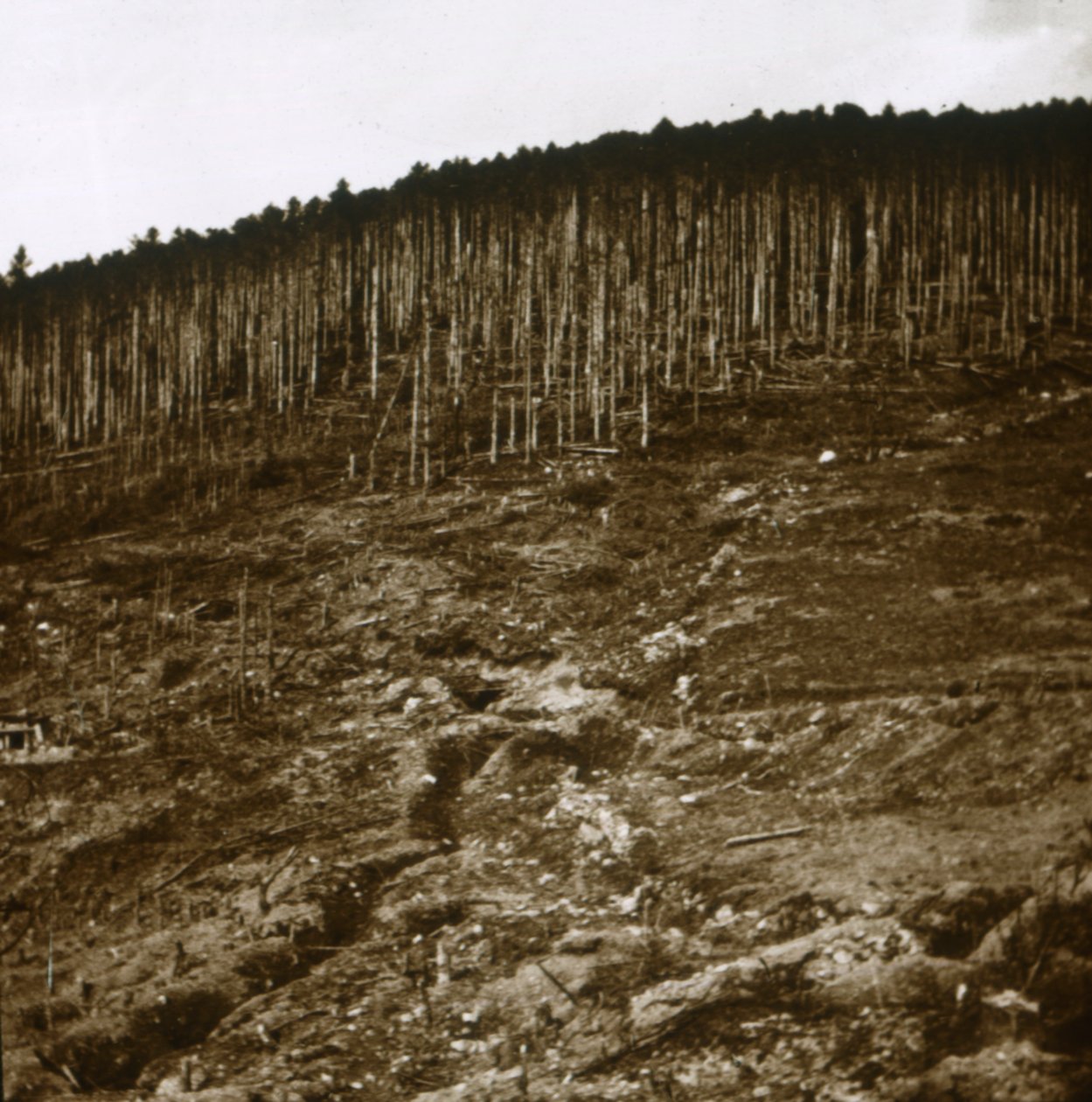 Alsace, c1914-c1918 af Unbekannt