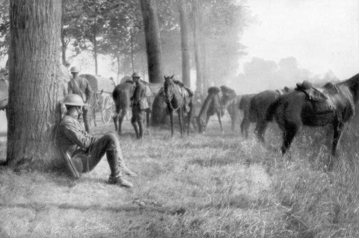 Amerikansk kavalerienhed i hvile, Chemin des Dames, Frankrig, 1918 af Unbekannt