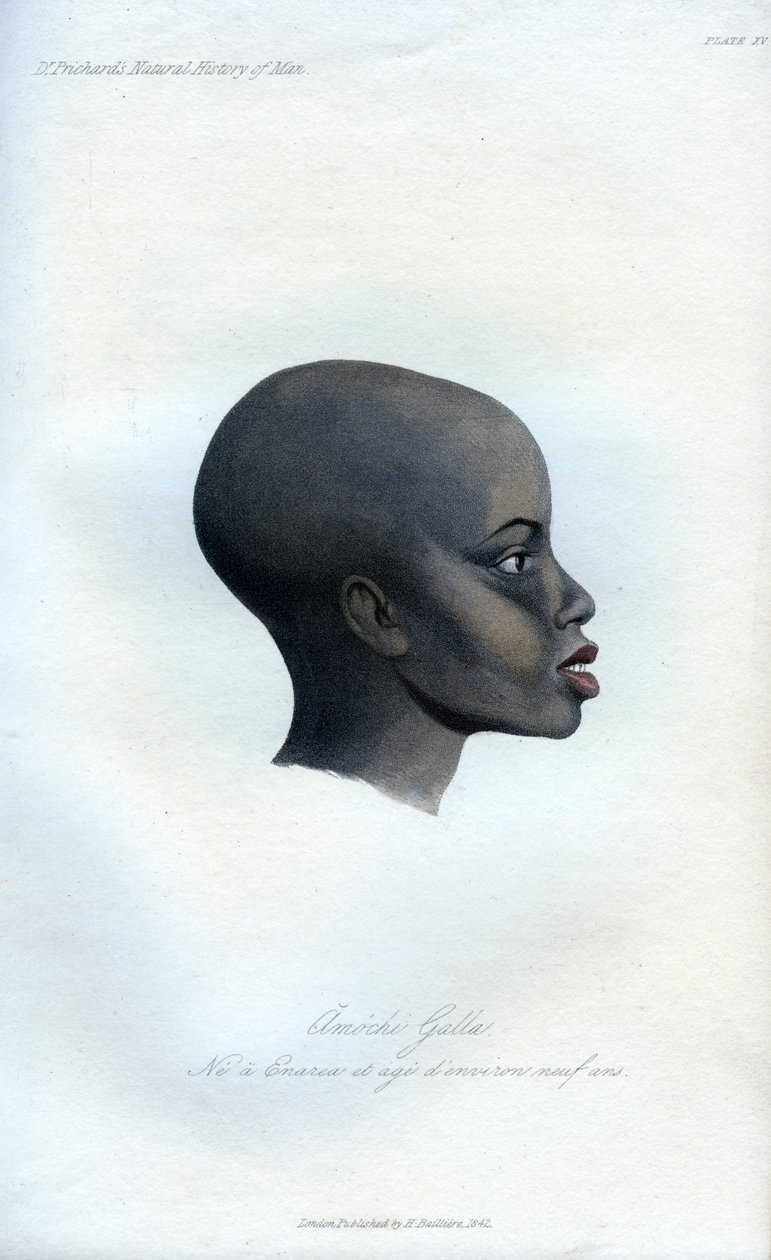 Amochi Galla, et portræt af en Galla, 1848 af Unbekannt