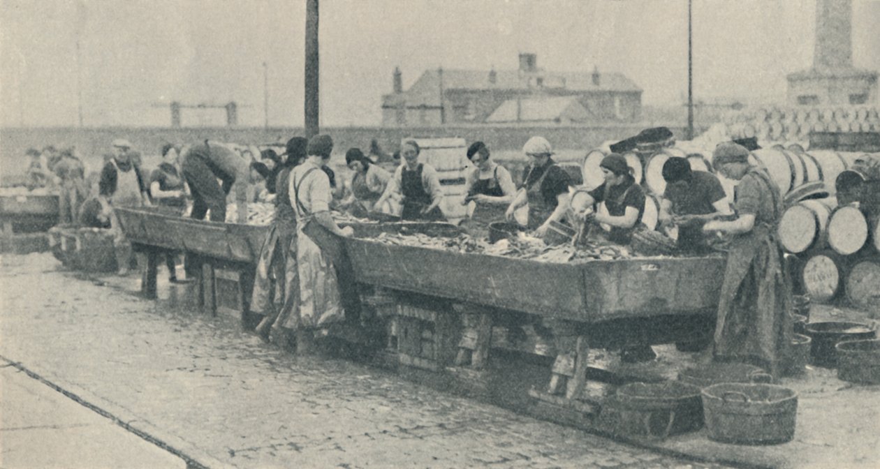 En vigtig del af industrien. Skotske piger travlt med at rense i Yarmouth, 1937 af Unbekannt