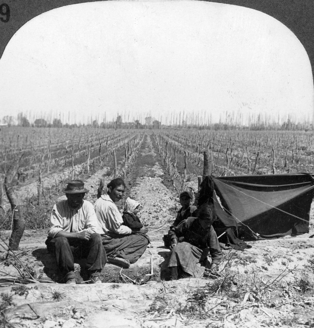 En italiensk bosætter og hans familie, Mendoza, Argentina, 1900-tallet af Unbekannt