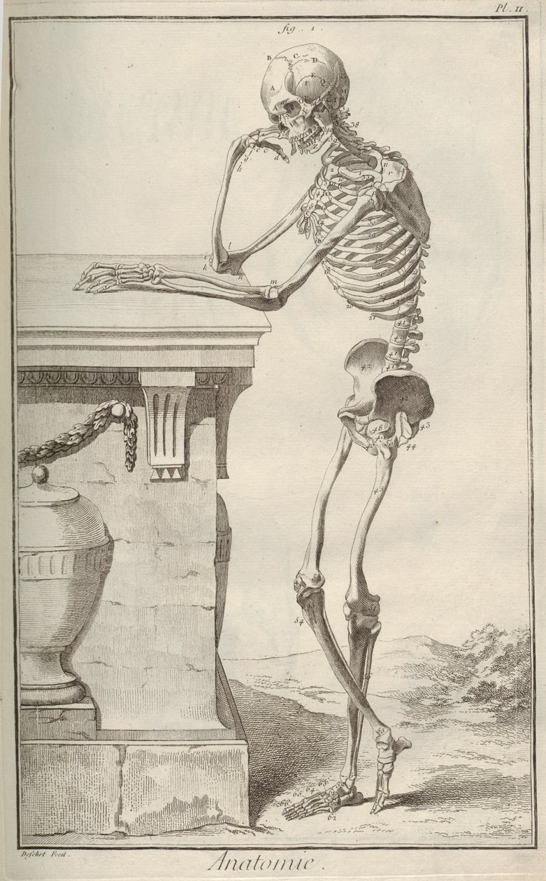 Anatomi. Fra Encyclopédie af Denis Diderot og Jean Le Rond dAlembert, 1751-1765. af Unbekannt