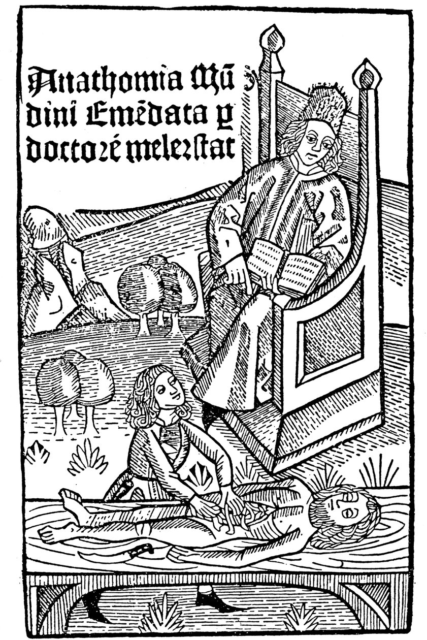 Anatomi demonstration, 1493 af Unbekannt