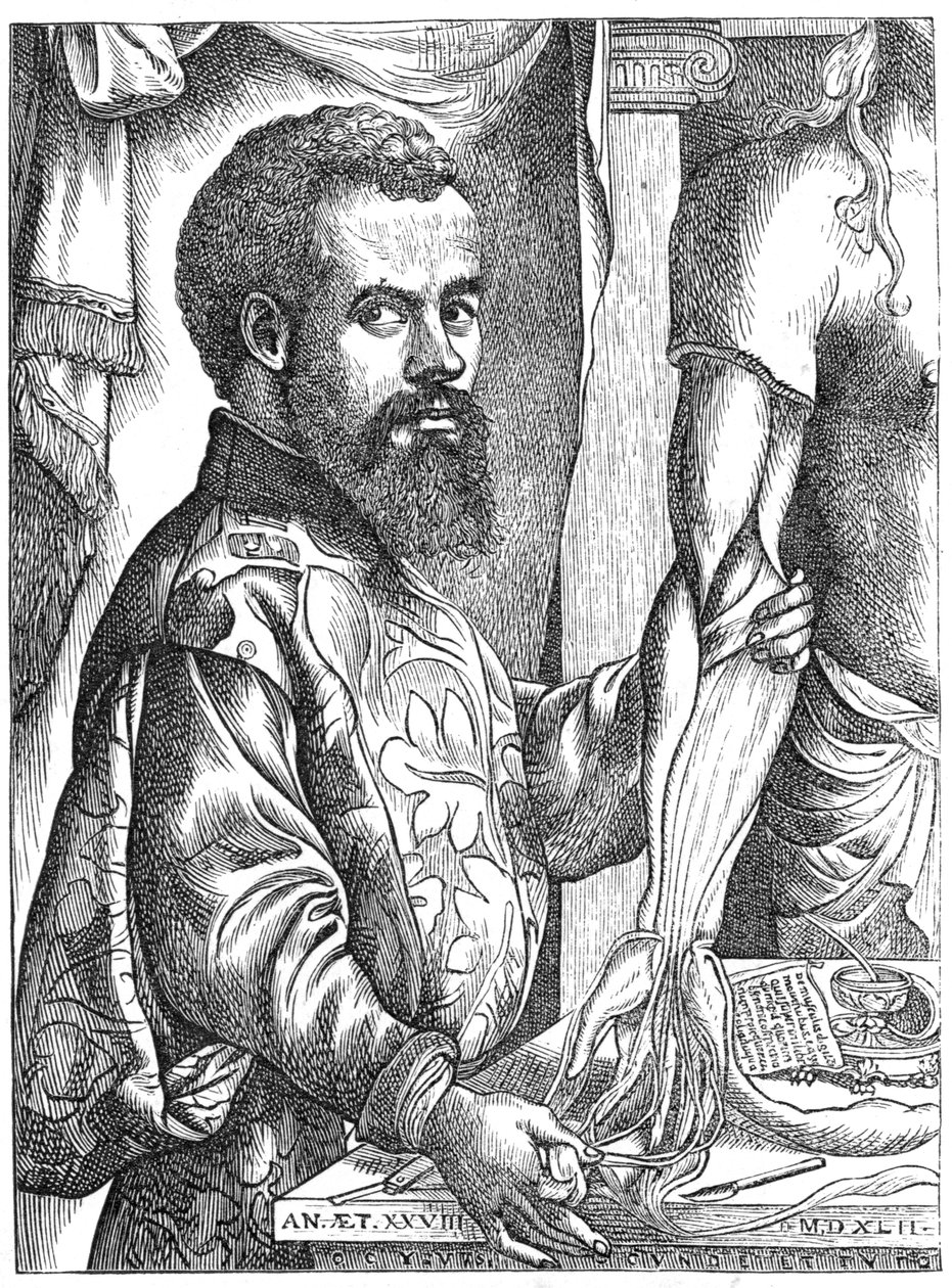 Andreas Vesalius, flamsk anatom fra det 16. århundrede af Unbekannt