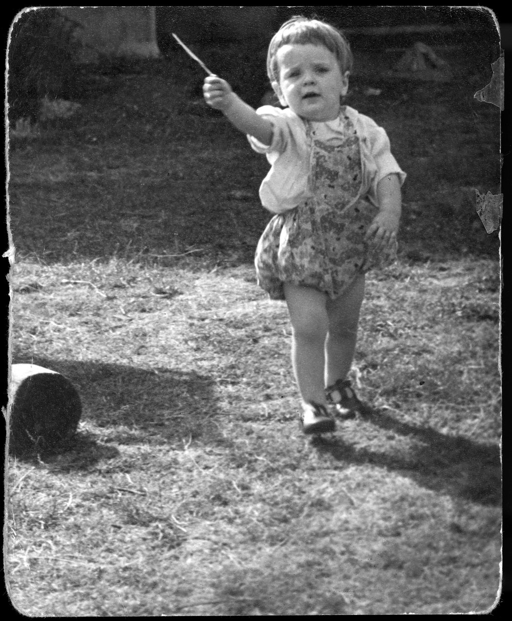 Andrew Nurnberg, søn af fotograf Walter med pind i haven, C1954 af Unbekannt