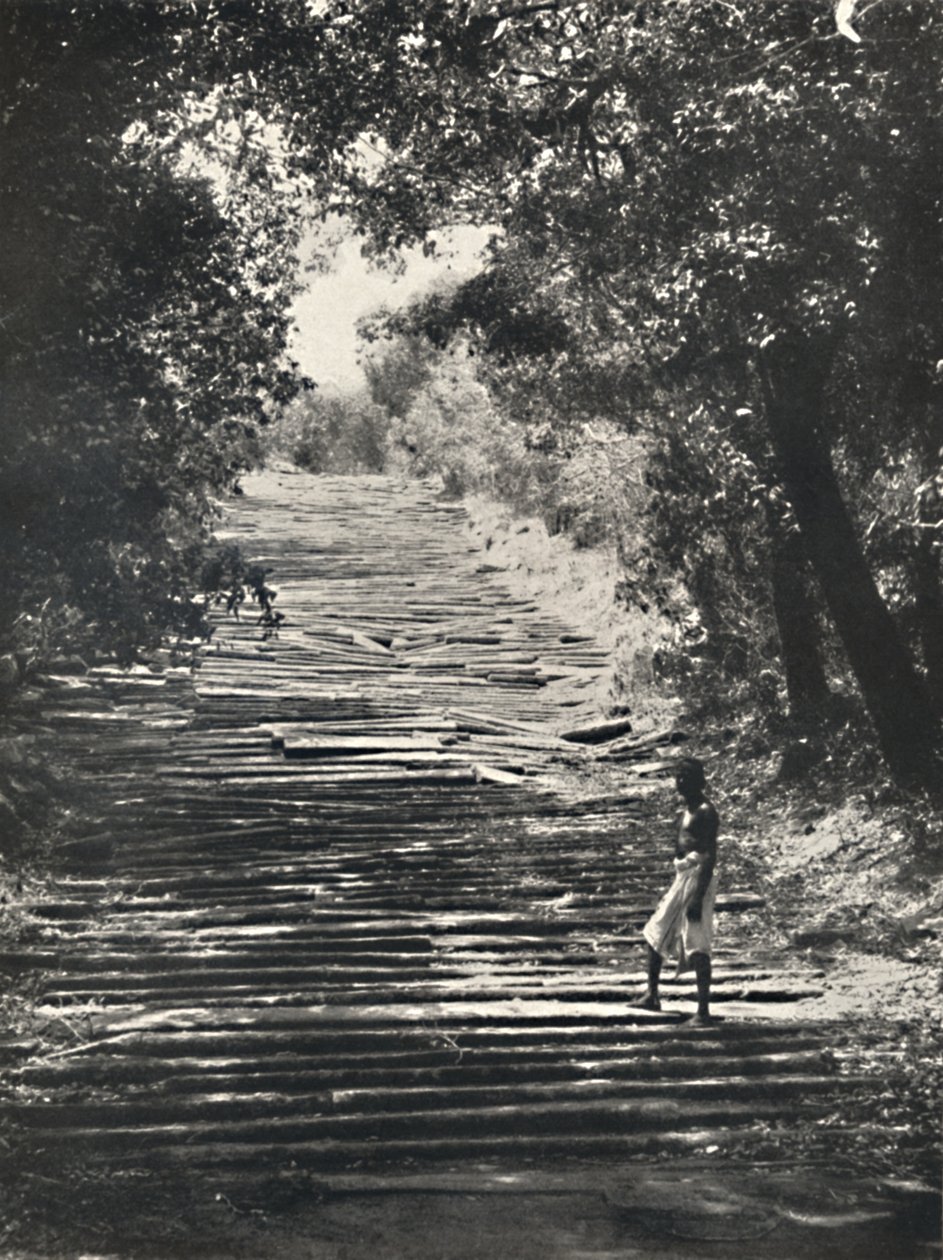 Begyndelsen af ​​Mihintales stentrappe, 1926 af Unbekannt