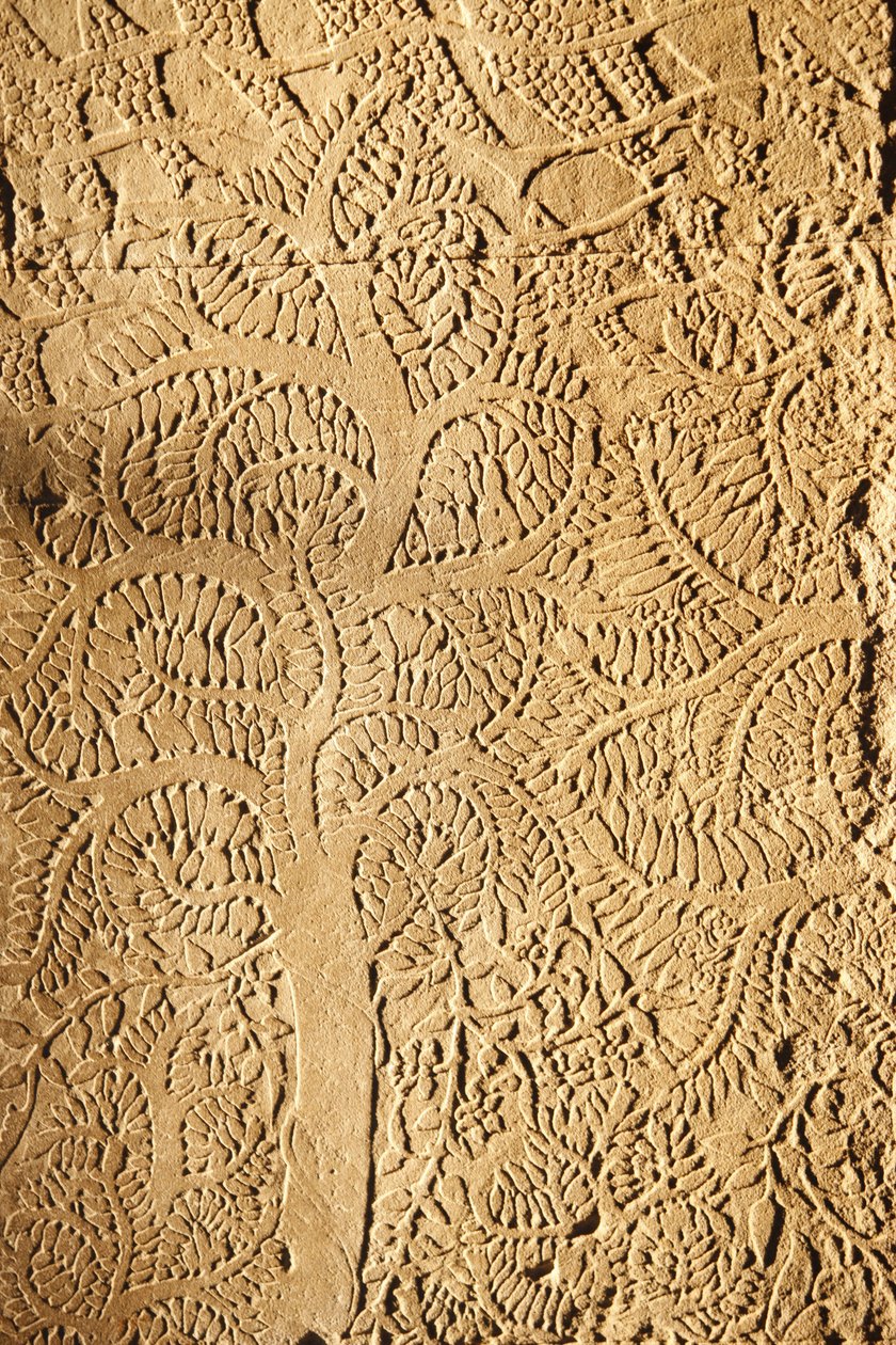 Angkor Wat, udskåret detalje på WallTree, Siem Reap, Cambodia af Unbekannt