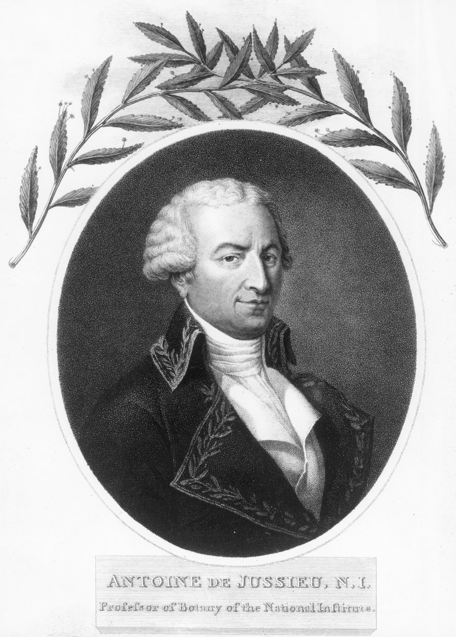 Antoine de Jussieu, fransk botaniker fra det 18. århundrede, 1807 af Unbekannt