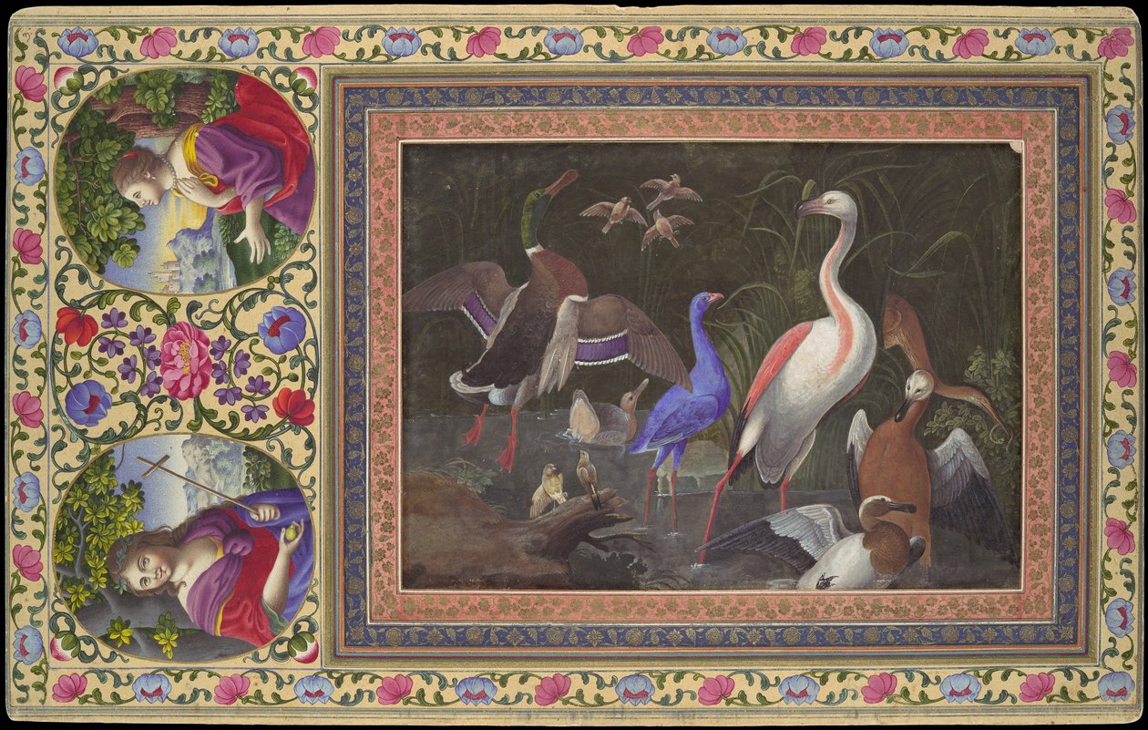 Aquatic Birds at a Pool, Folio fra Davis Album, 1700-tallet. af Unbekannt