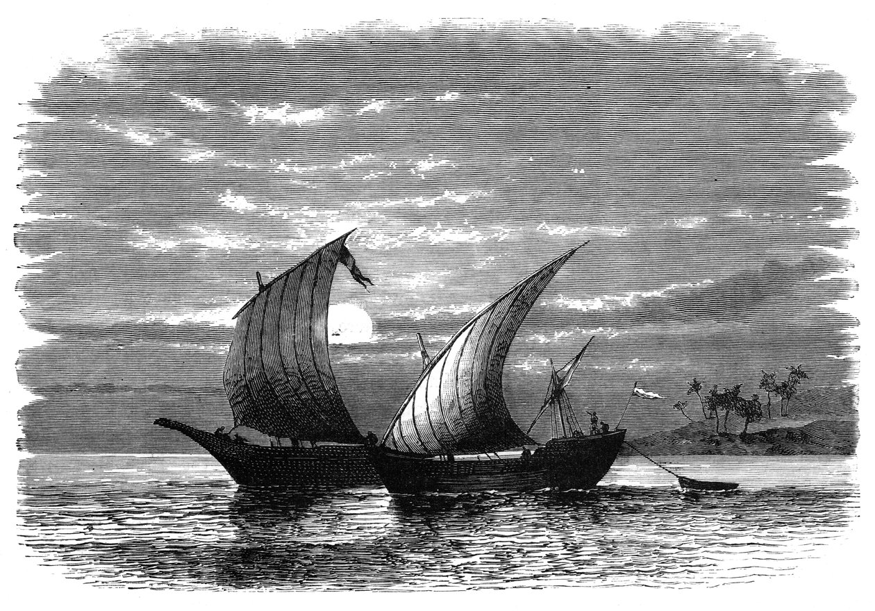 Arabiske dhows på Det Røde Hav, c1890 af Unbekannt