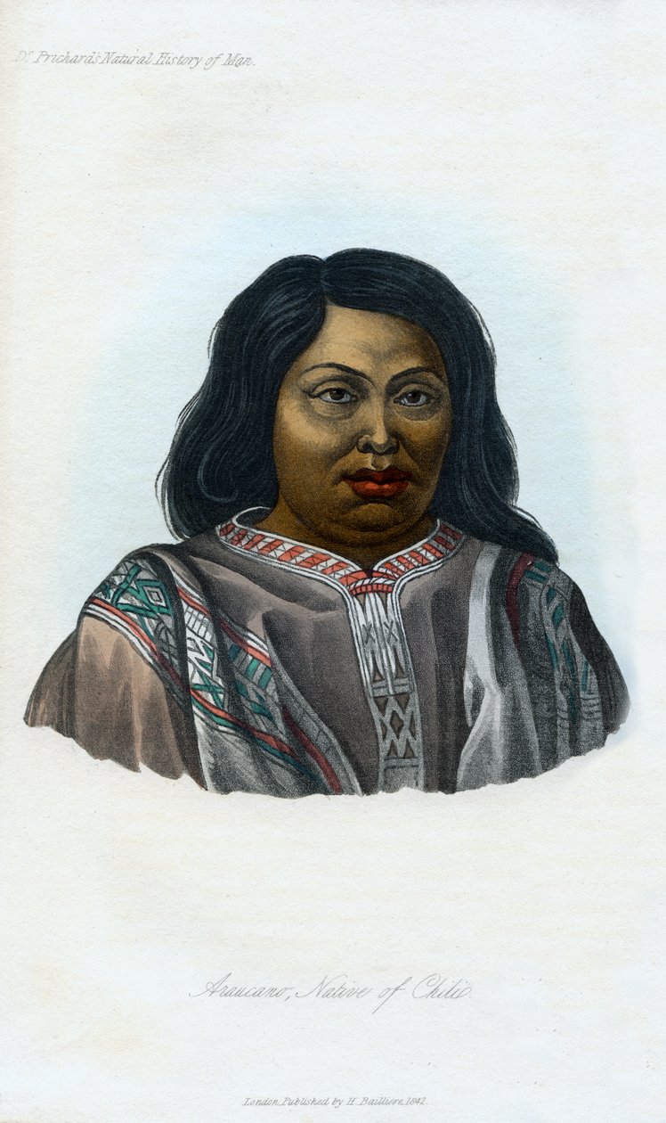 Araucano, indfødt af Chili, 1848 af Unbekannt