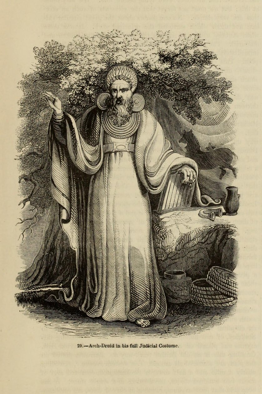 Arch-Druid i sin fulde Judicial Costume Fra bogen Old England: A Pictorial Museum, 1845 af Unbekannt