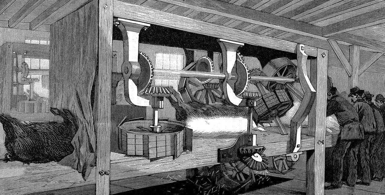 Armour Companys svineslagteri, Chicago, Illinois, USA, 1892 af Unbekannt