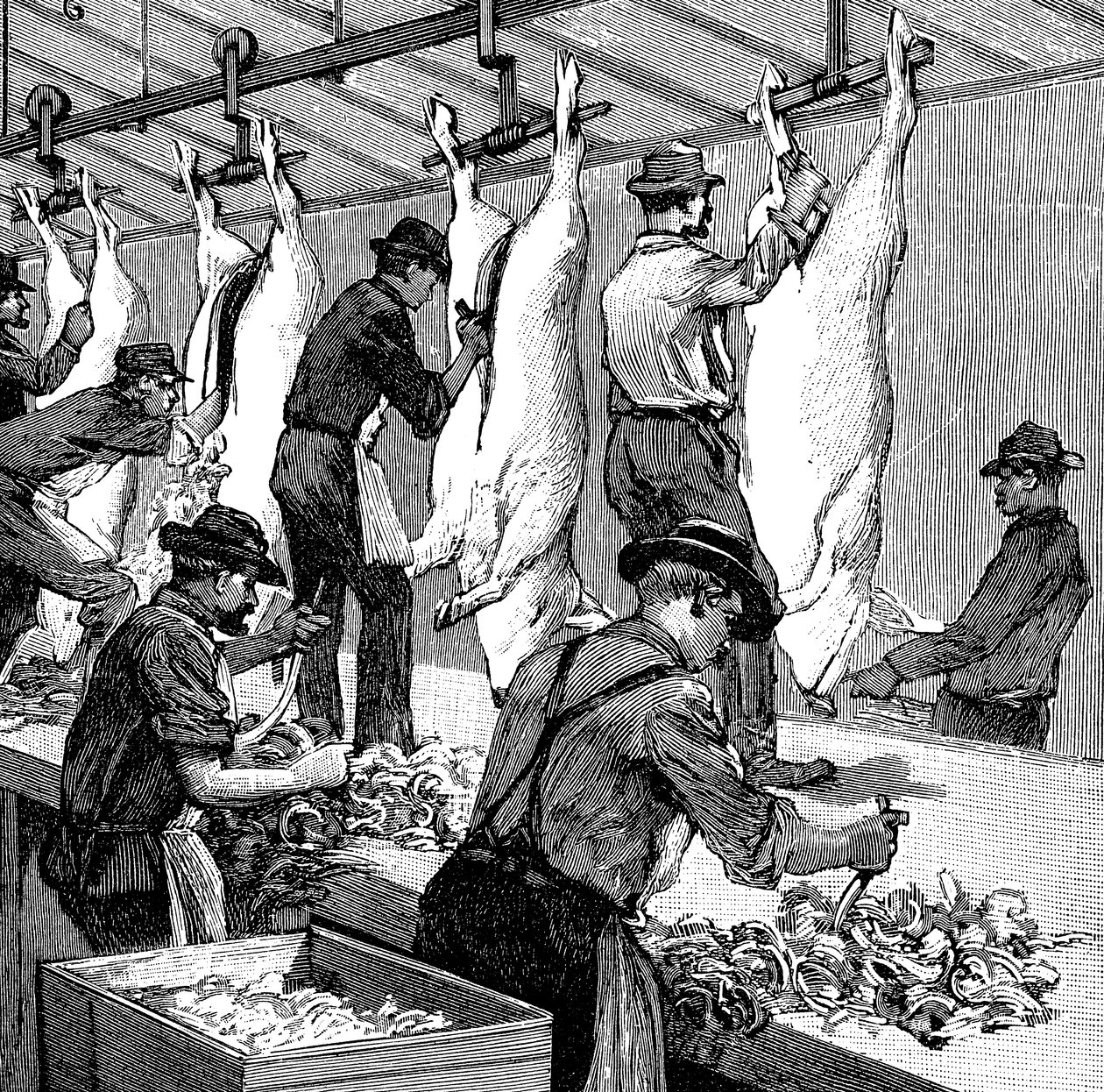 Armour Companys svineslagteri, Chicago, Illinois, USA, 1892 af Unbekannt