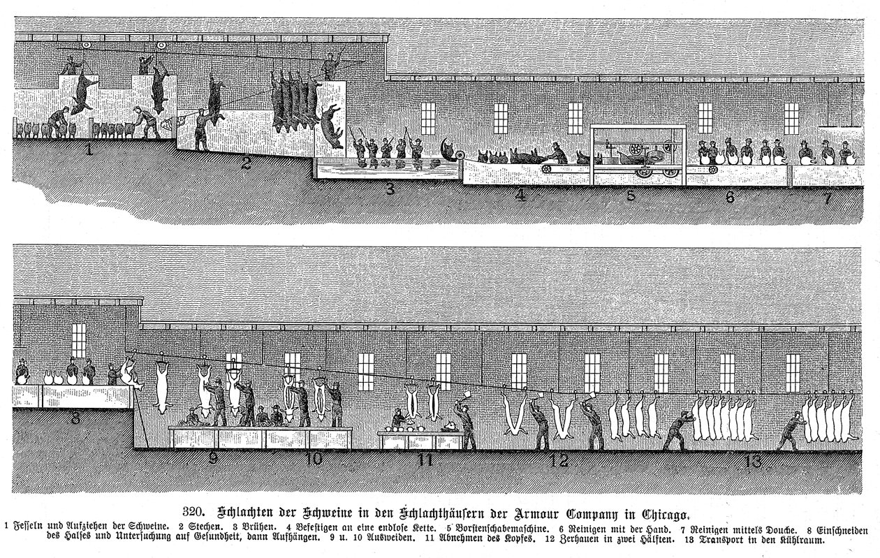 Armour Companys svineslagteri, Chicago, Illinois, USA, 1895 af Unbekannt