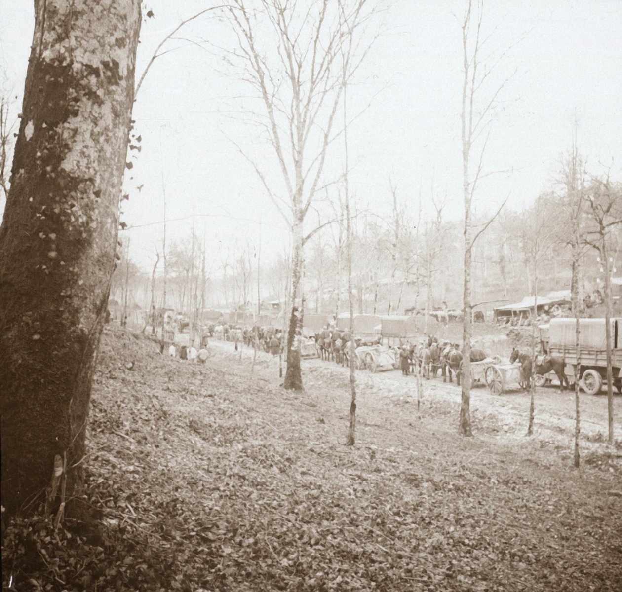 Artilleri, Somme, Nordfrankrig, c1914-c1918 af Unbekannt