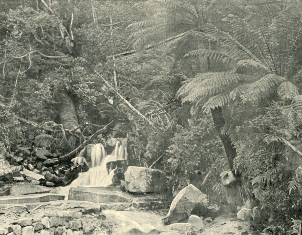 Ved St. Crispins Well, 1901. af Unbekannt